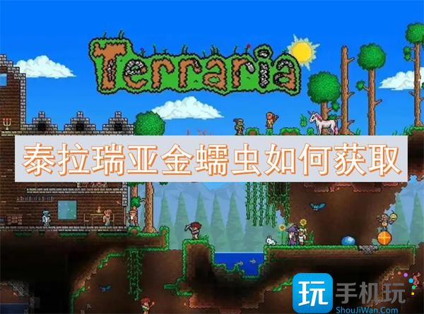 泰拉瑞亚金蠕虫如何获取